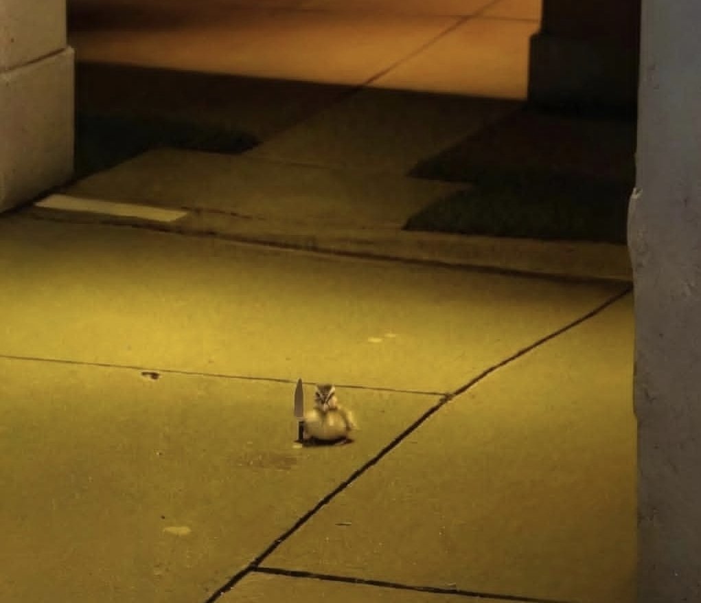 Hagar the Horrible tweet media