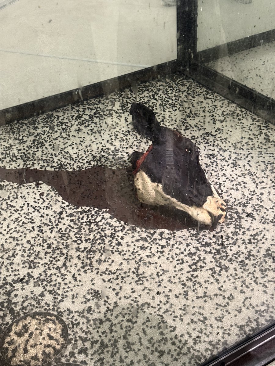 ᵘᵖᵎᵎᵎᵎᵎᵎ tweet media