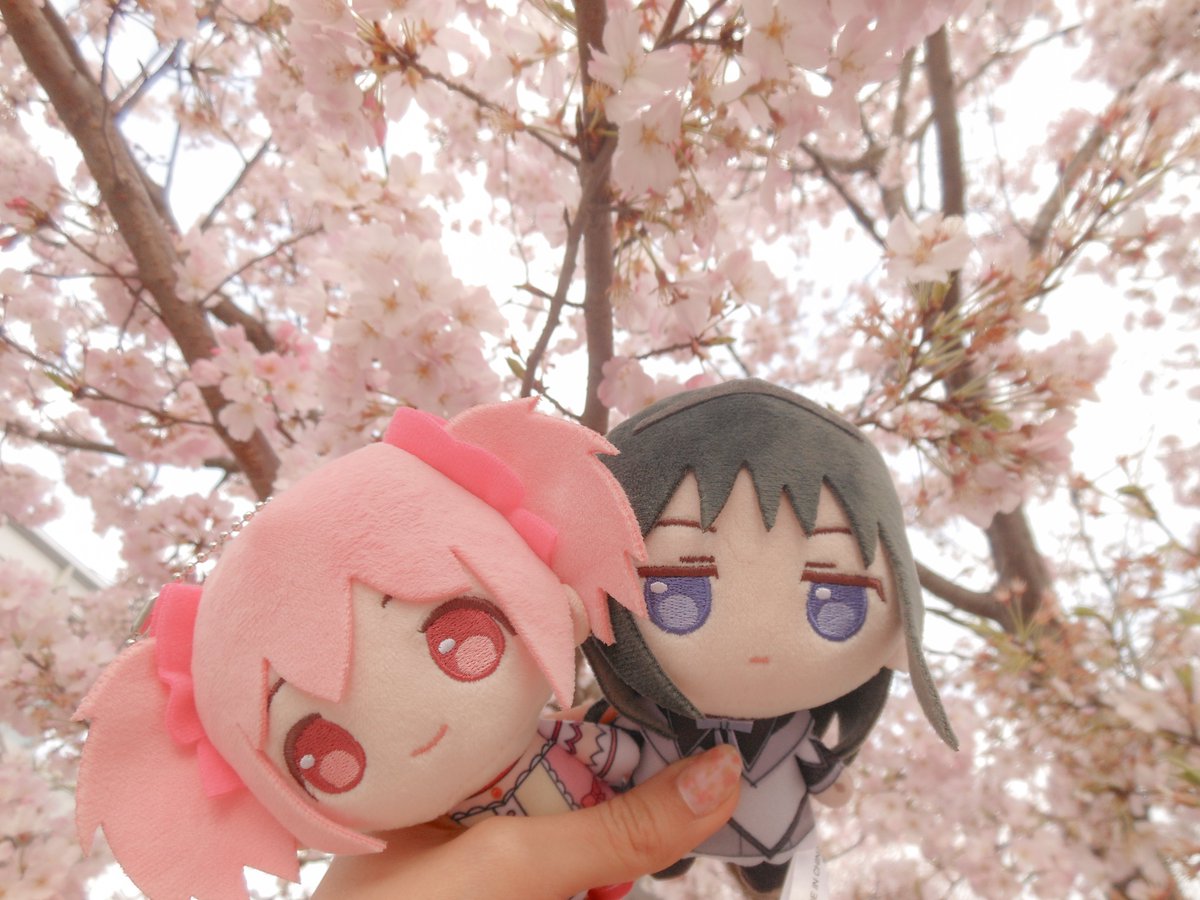 𝓚𝓲𝓴𝓲 ♡⸝⸝ tweet media