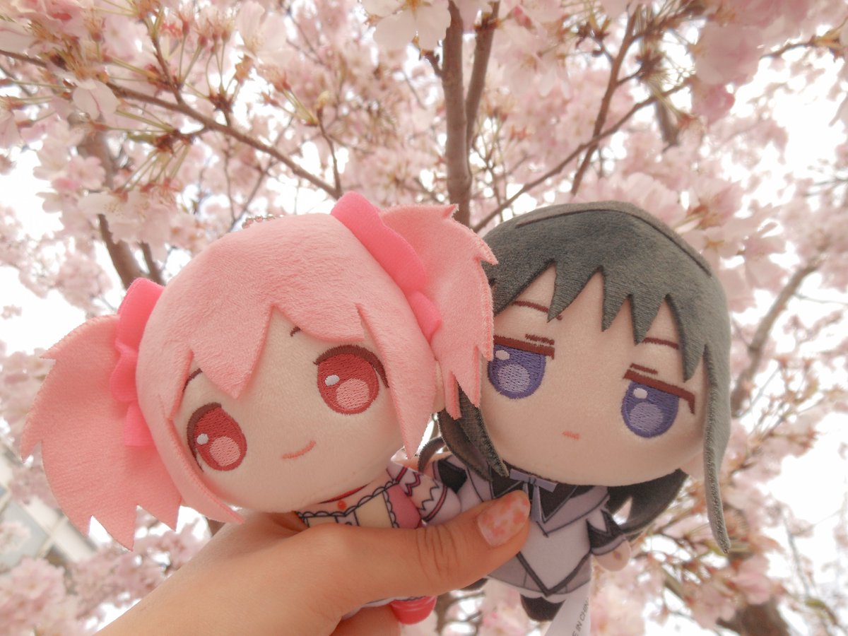 𝓚𝓲𝓴𝓲 ♡⸝⸝ tweet media