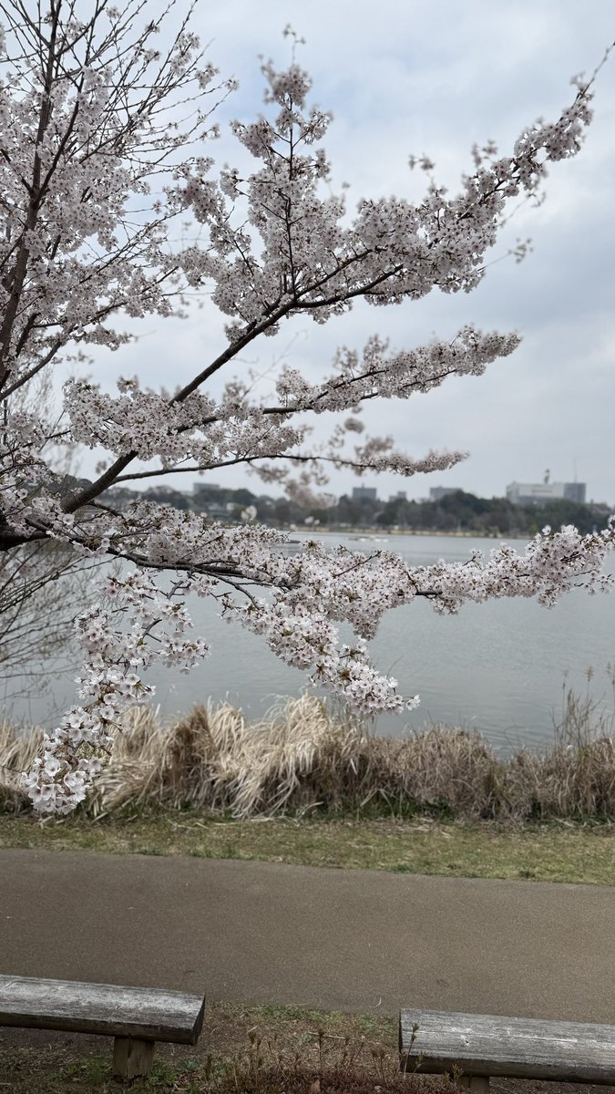 🏥ドスケン💉まもなく仕事復帰🦵ラー活追い込み🍜🚗 tweet media