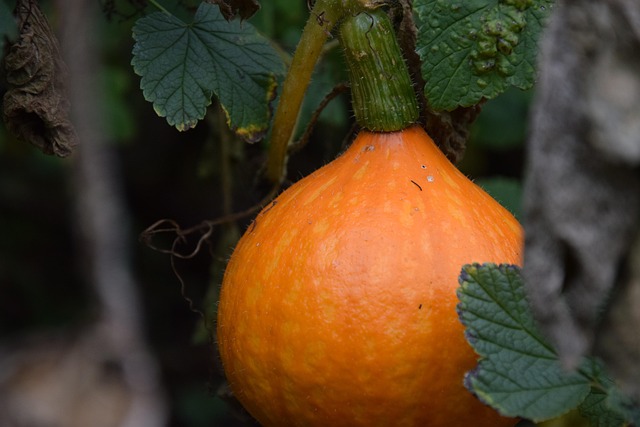 Billy Miller tweet media