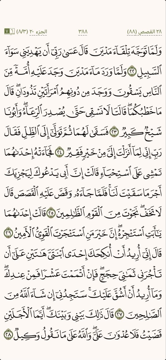 كل يوم صفحة tweet media