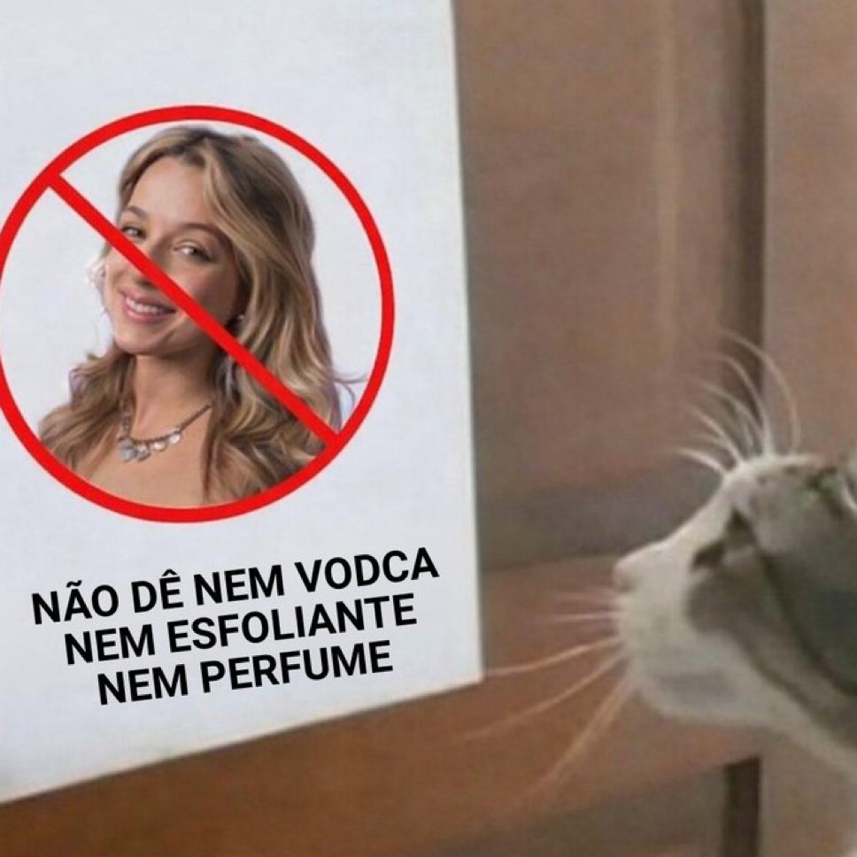 MAYHEM AOTY NO MEU CORAÇÃO tweet media