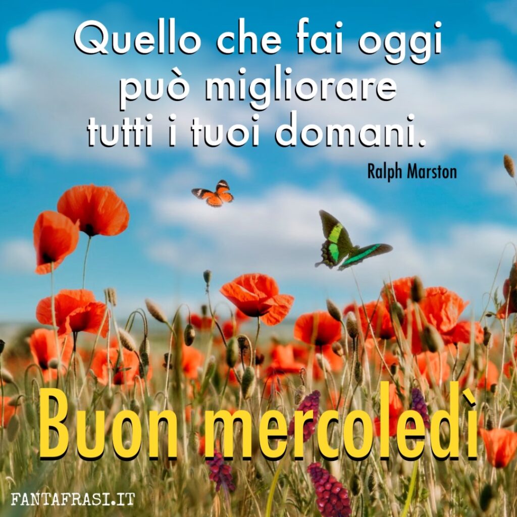 Matteo tweet media