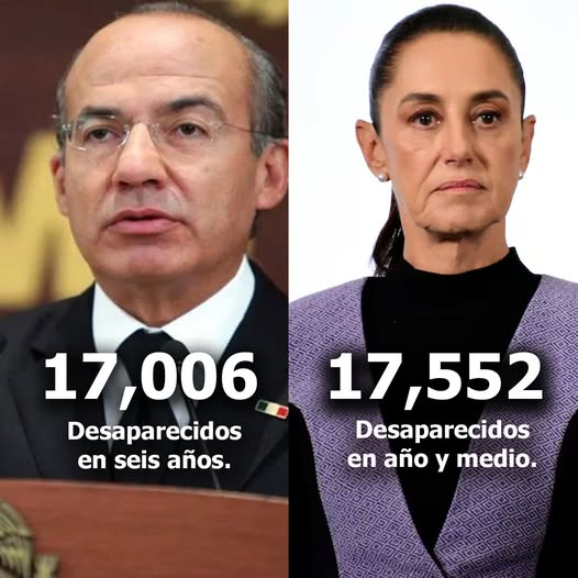 constanza luna tweet media