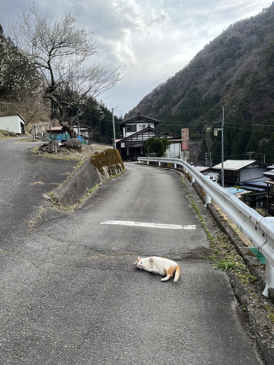 いのうえもんぺ tweet media