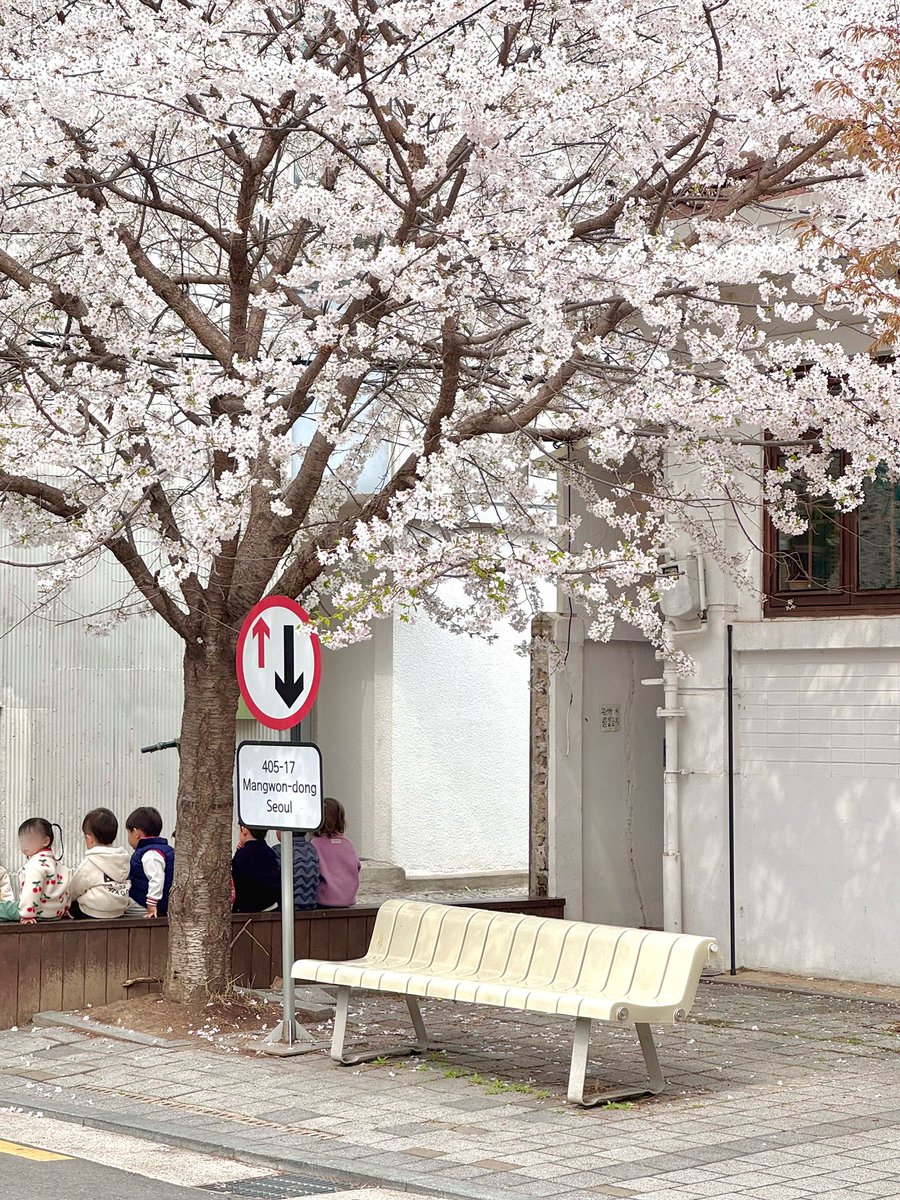 ordinary idiot tweet media