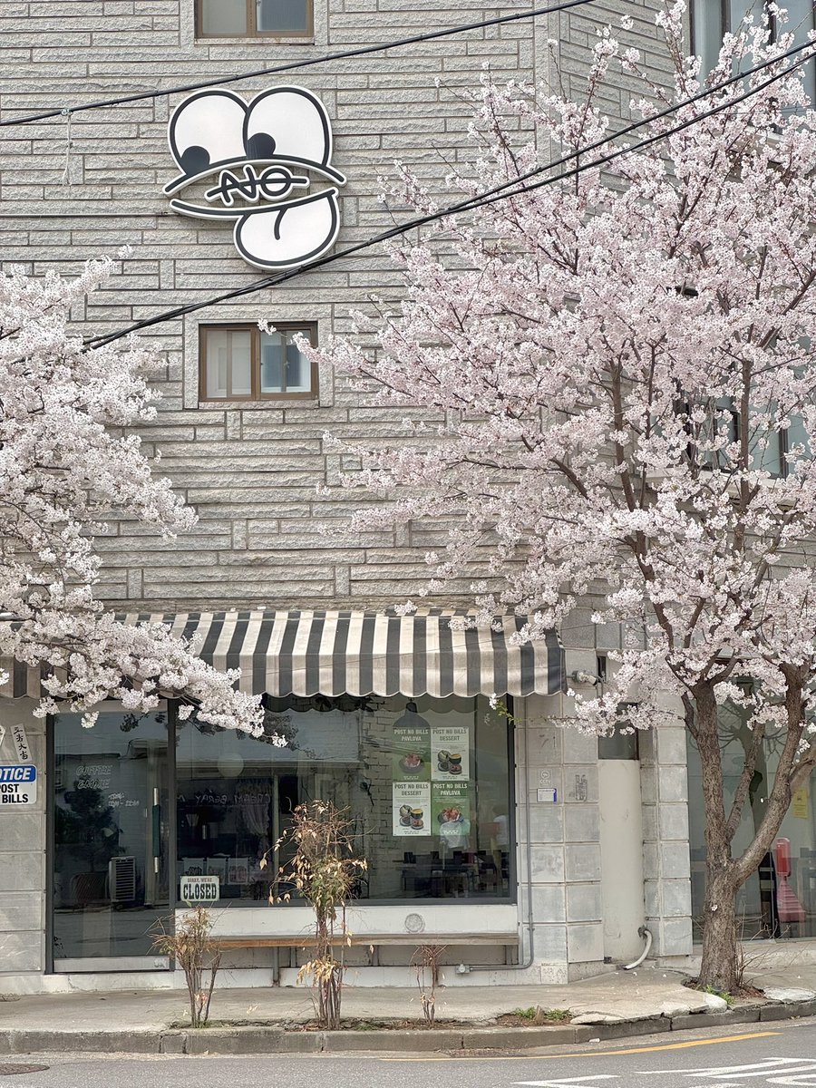 ordinary idiot tweet media