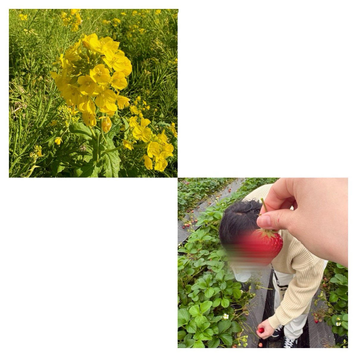 ʏ ᴜ ɴ tweet media