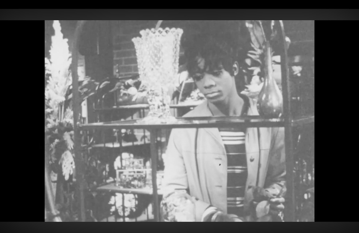 Vernon Equinox ✨💚 tweet media