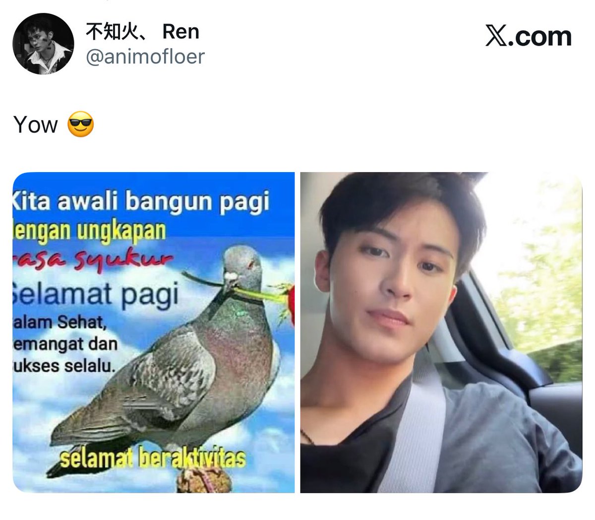 宮崎, Haruki. tweet media