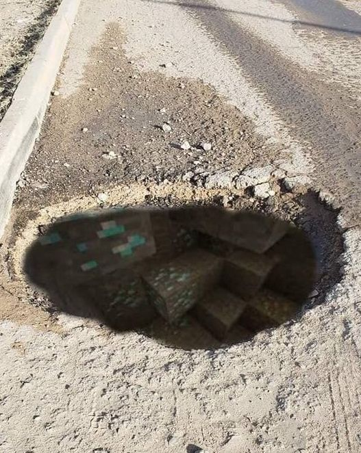 やぶ亀 tweet media