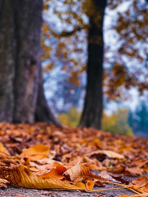 Krystal Scott tweet media