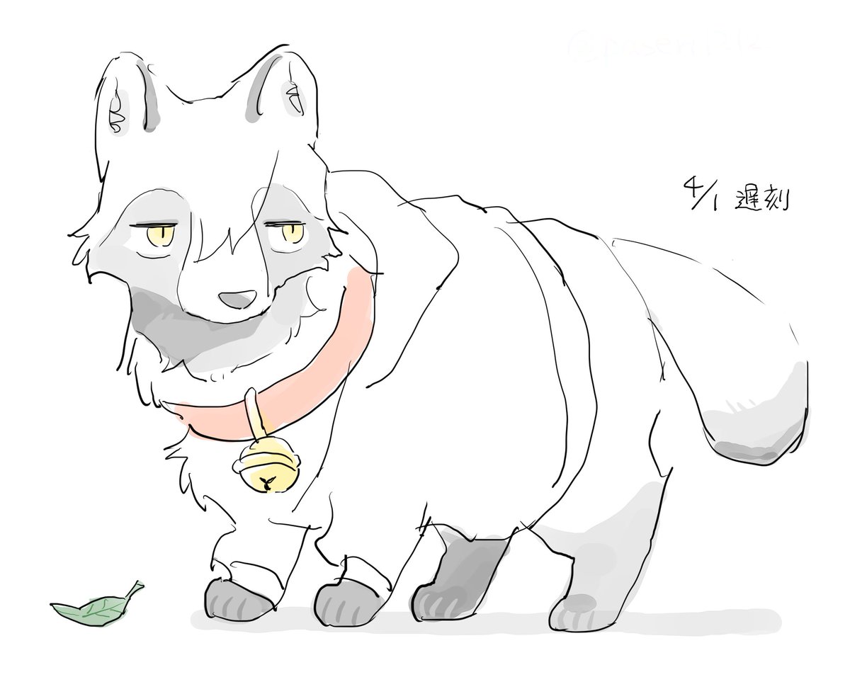 ぱせりさん、実はたぬき説