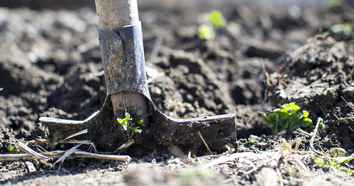 Mix Challenge tweet media