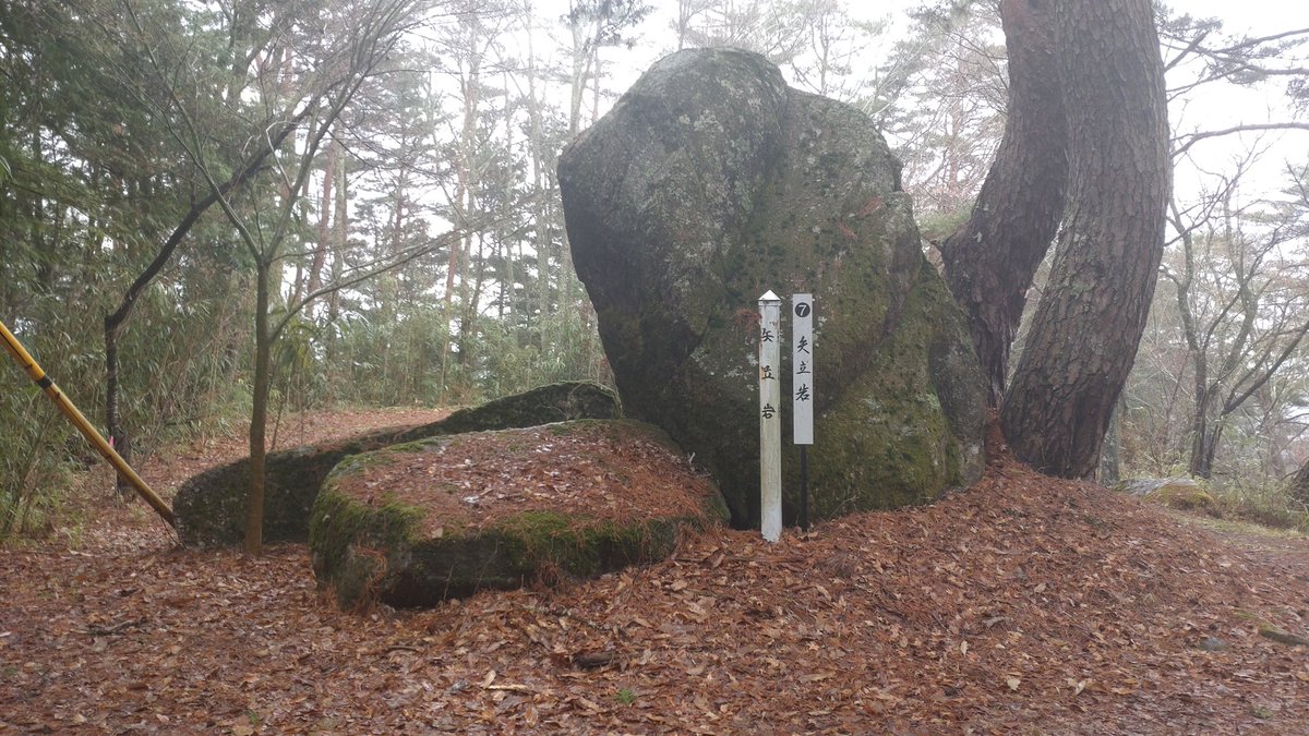 野田露簟 tweet media