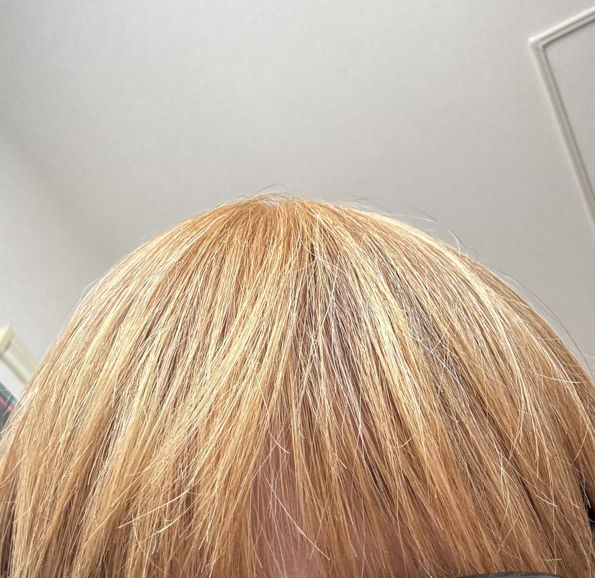 Sent1mentq1822's tweet photo. ブリーチ2回目 https://t.co/wqe8PkIuzy
