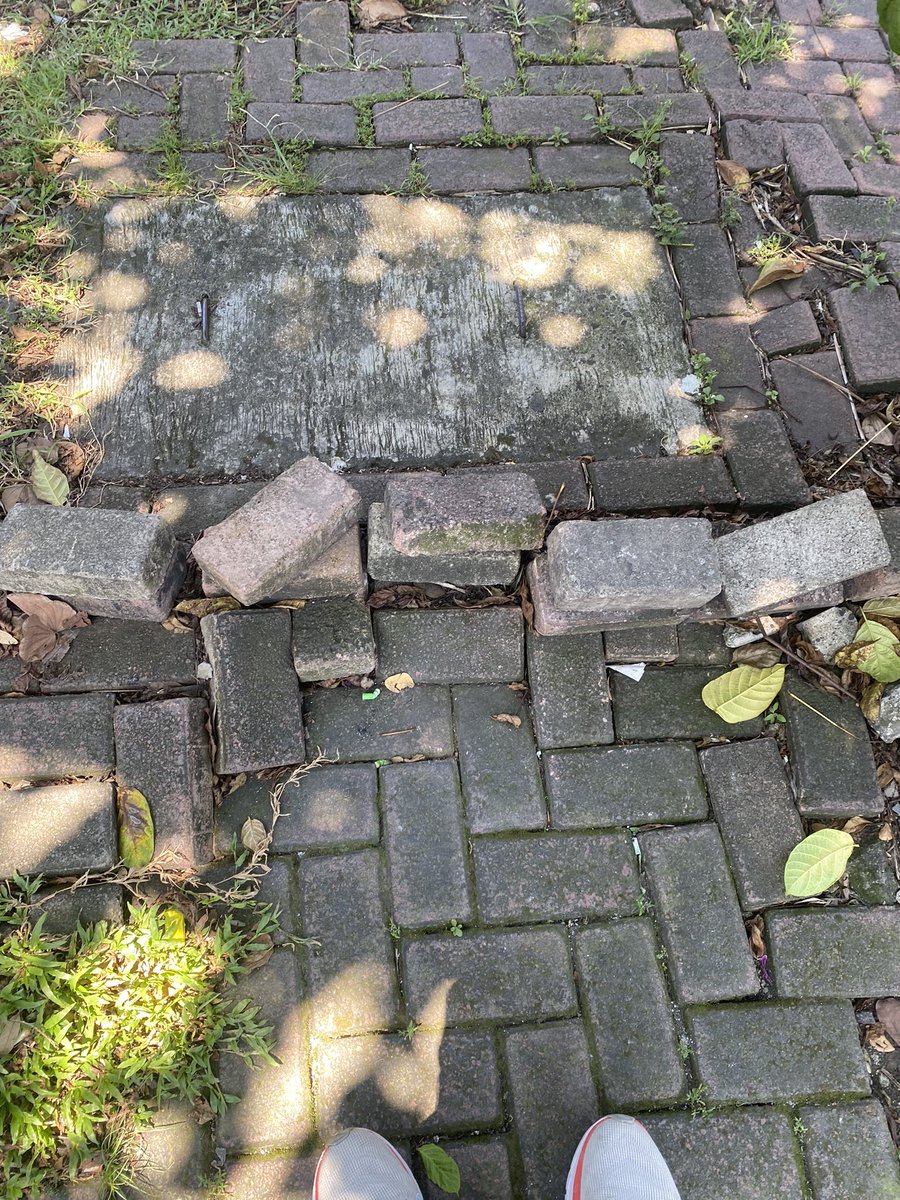 rakyatbiasa! tweet media