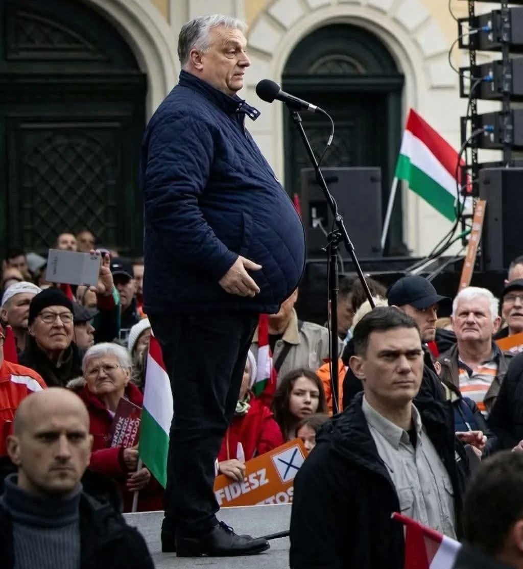 Lucia H. 🦁🇺🇦 🇮🇱 tweet media