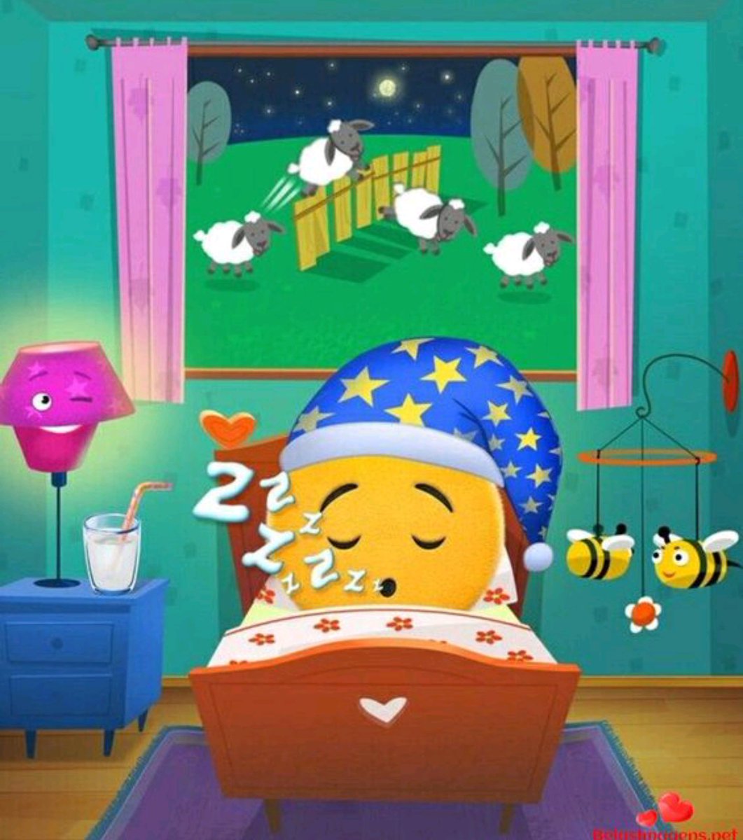 Pancho 🇪🇨 🇺🇸 tweet media