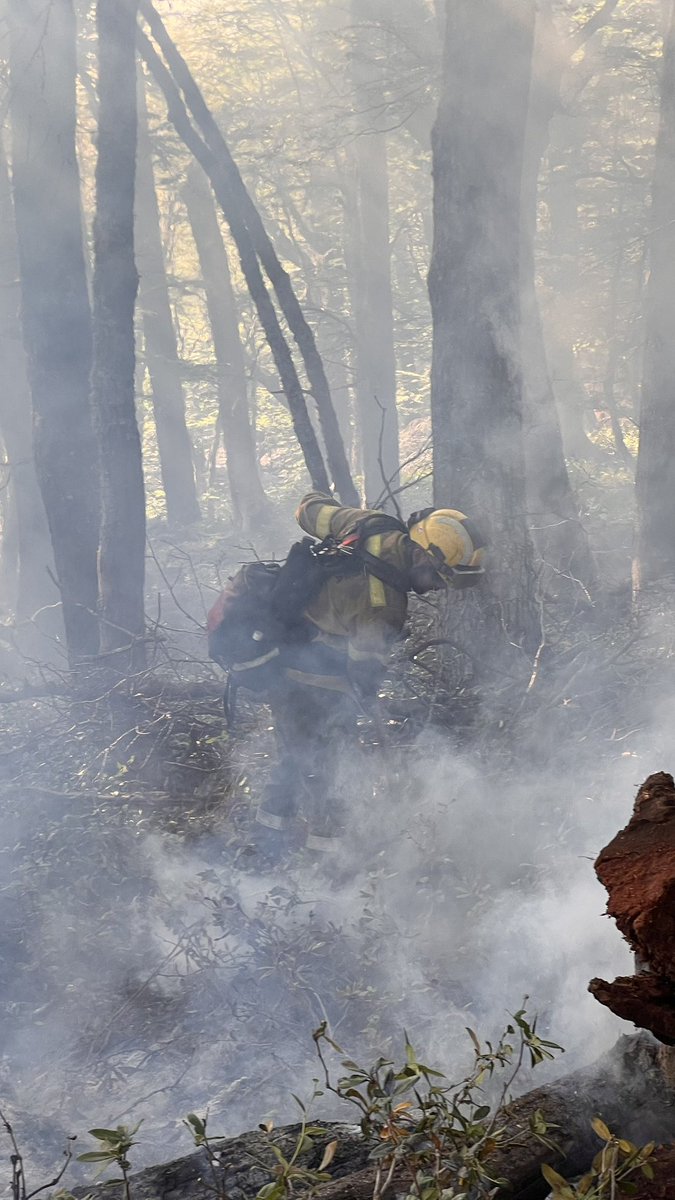 Kütral 🇦🇷 tweet media