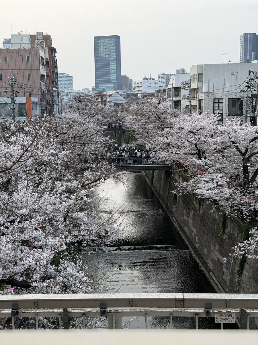 あいり / CodeCast tweet media