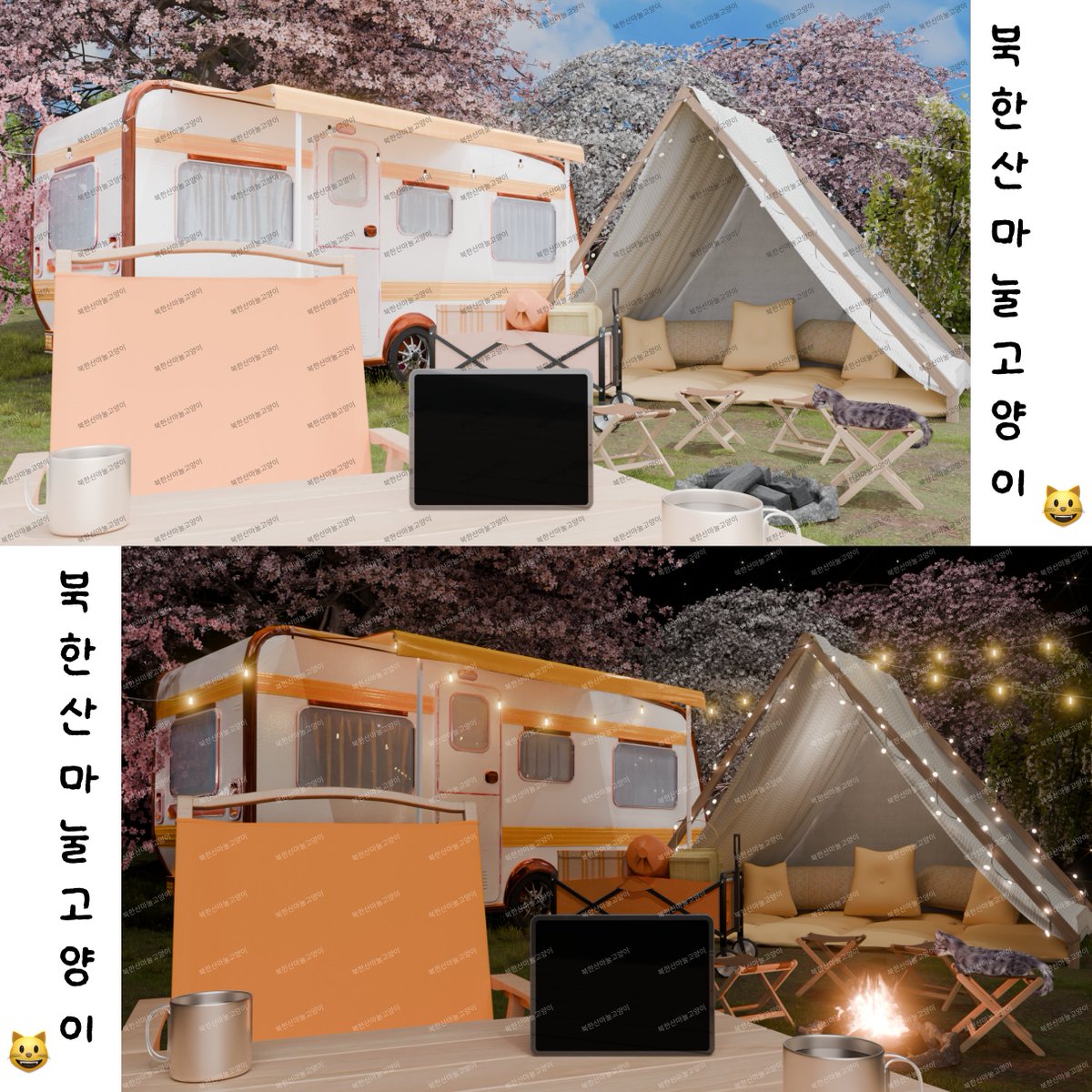 북한산마눌고양이😸 tweet media