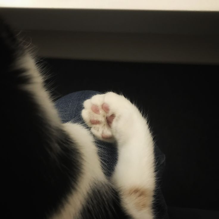 eun | enha is 7 tweet media