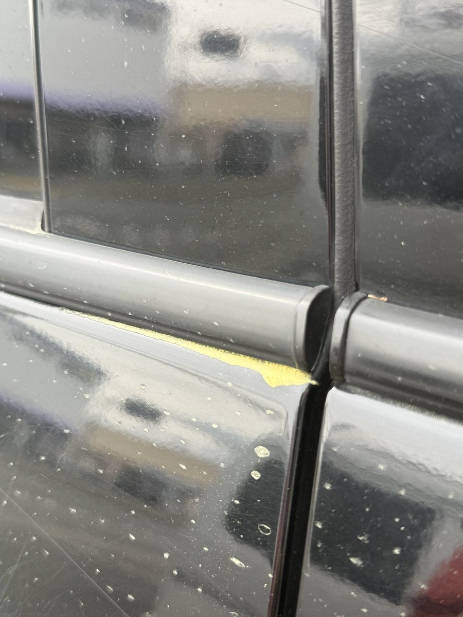 ミッチーチェン tweet media