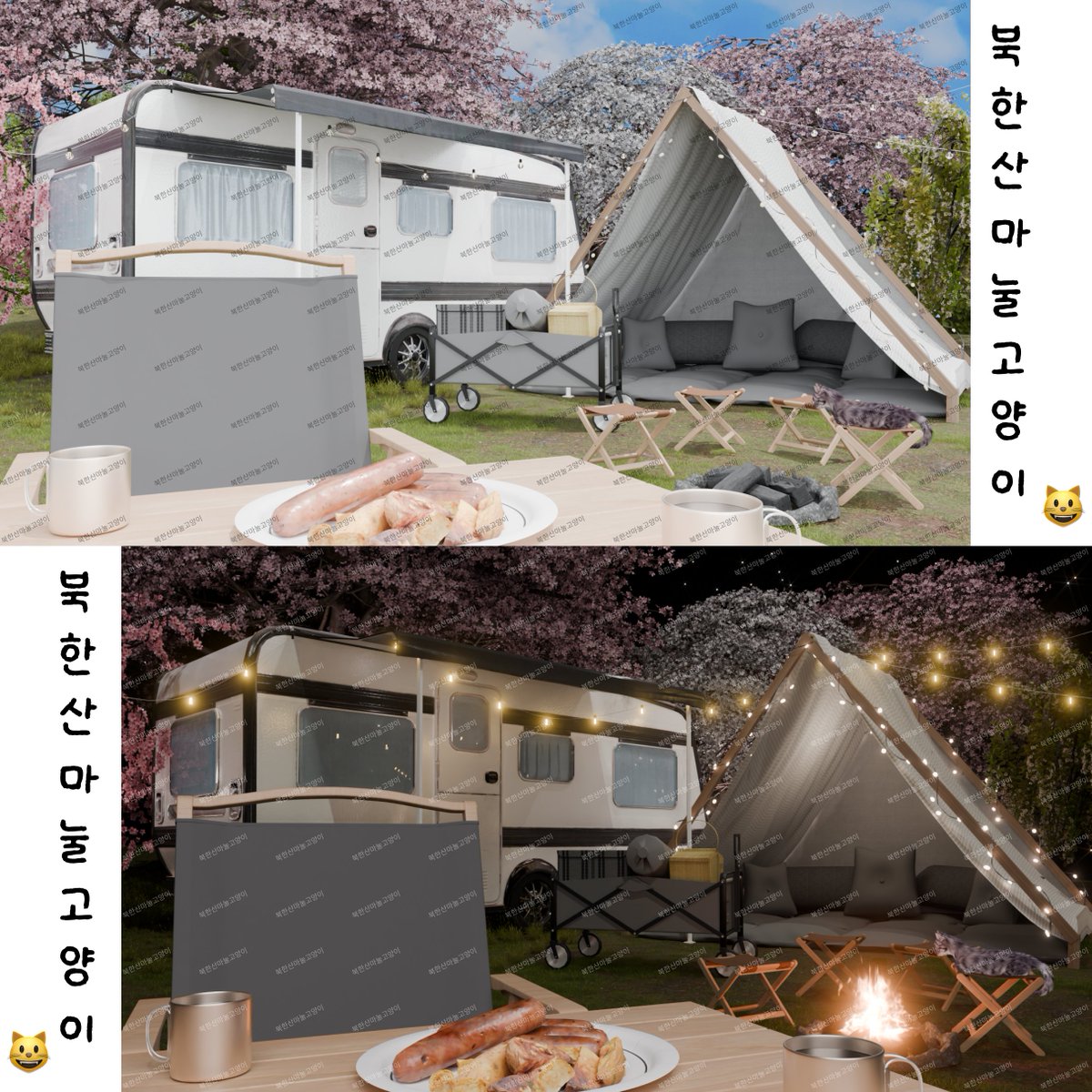 북한산마눌고양이😸 tweet media