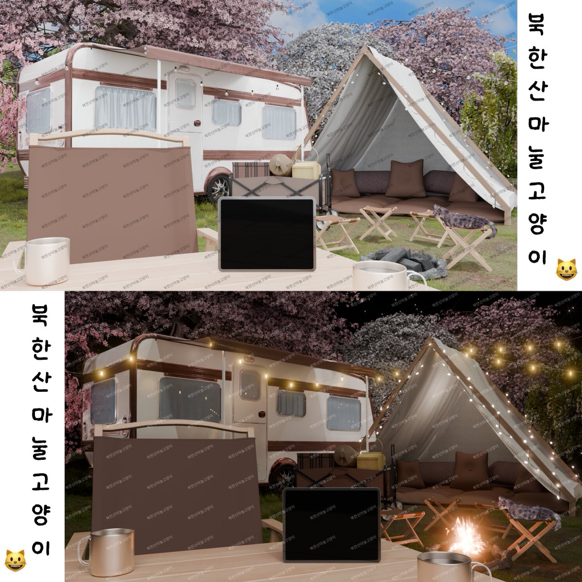 북한산마눌고양이😸 tweet media