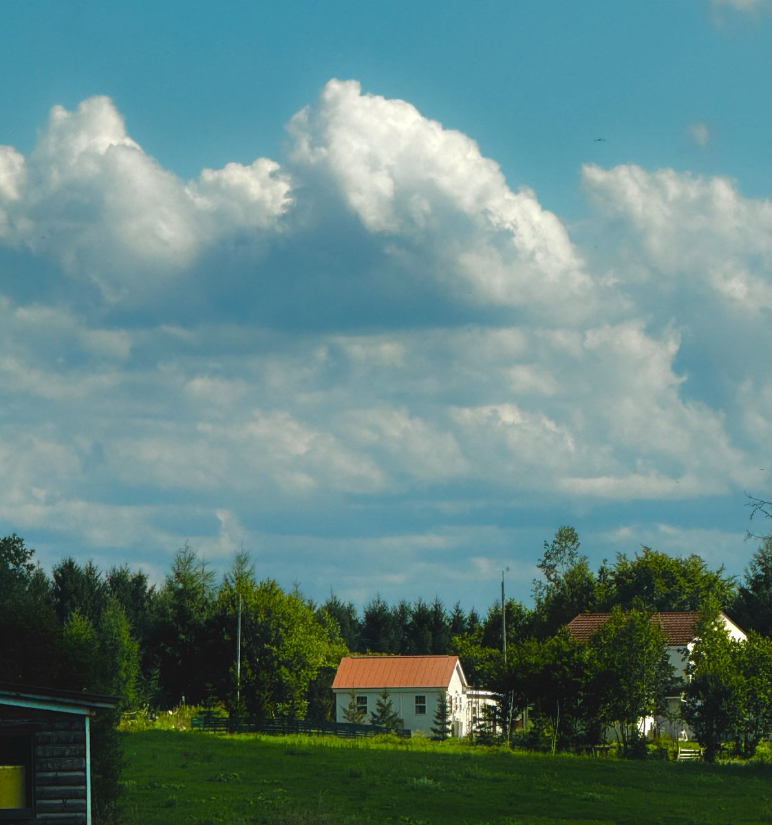 𝙆𝙄𝙔𝘼 tweet media