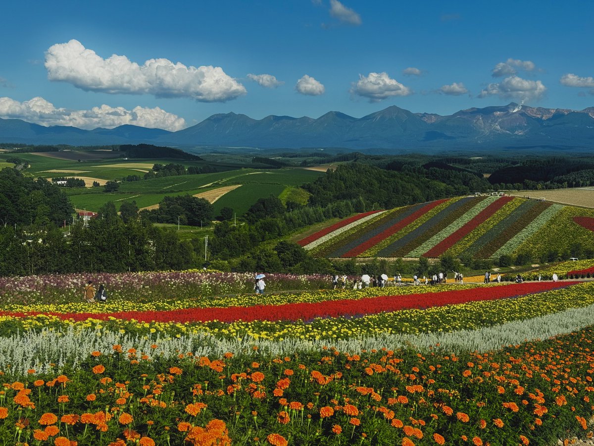 𝙆𝙄𝙔𝘼 tweet media