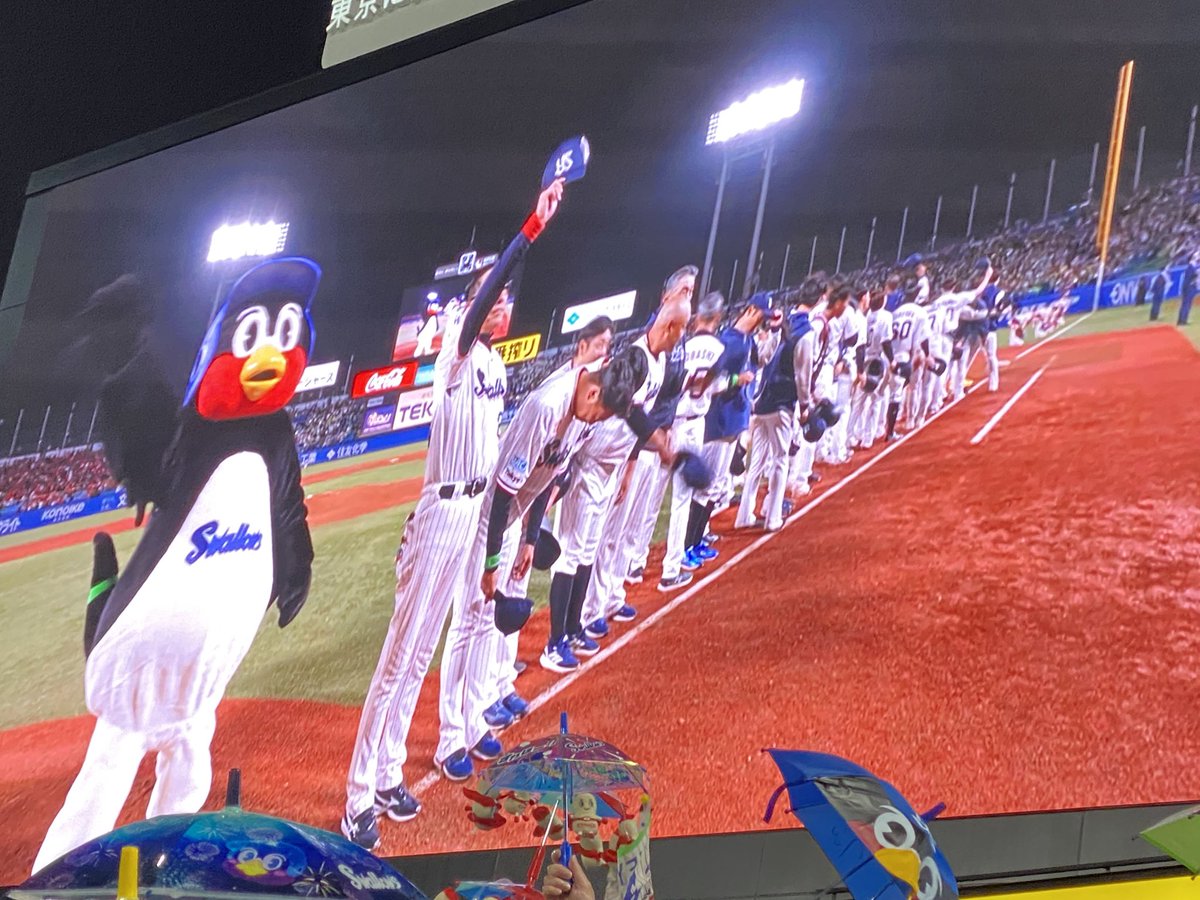 qa_ep's tweet photo. シーズンはじめの神宮球場に行ってきました
おかえり！つば九郎 https://t.co/DHso5syt3L