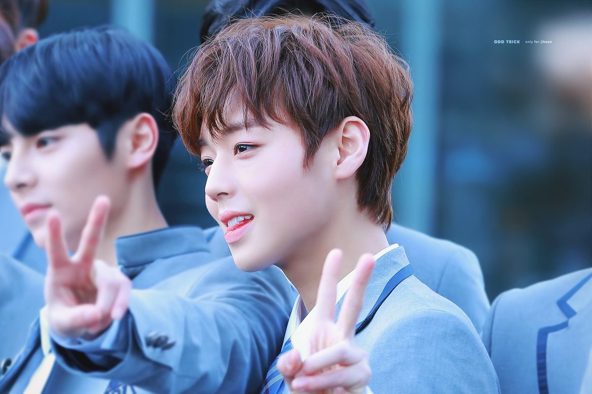 할메이 tweet media