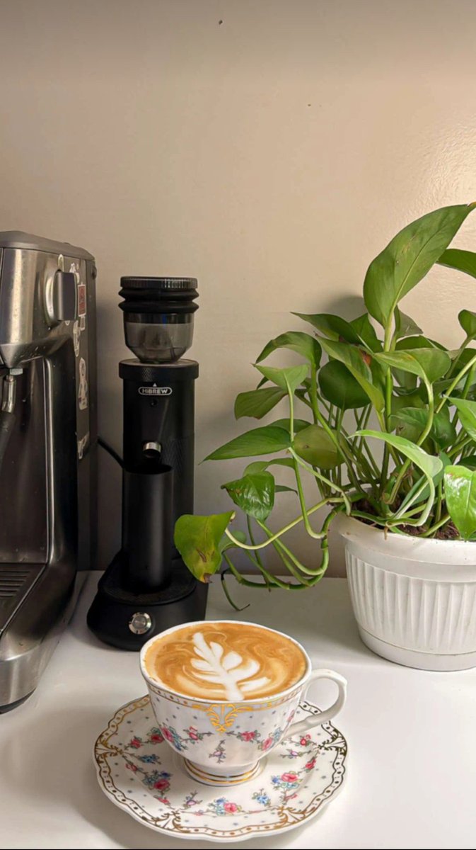 • 𝐒𝐇 🫧 tweet media