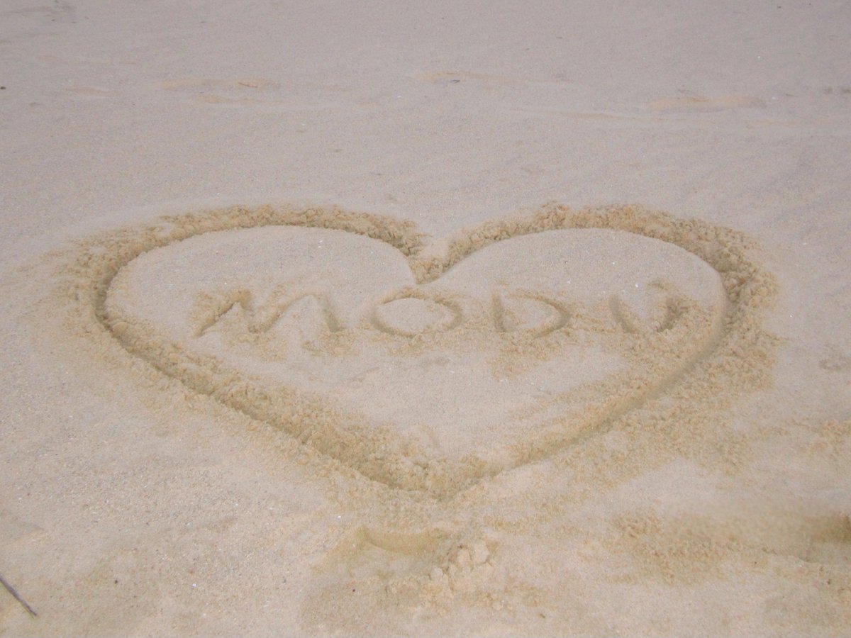 MODYSSEY tweet media