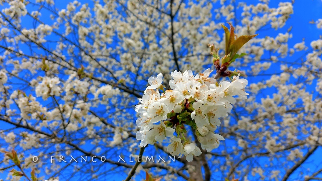 Franck Marc ✌ tweet media