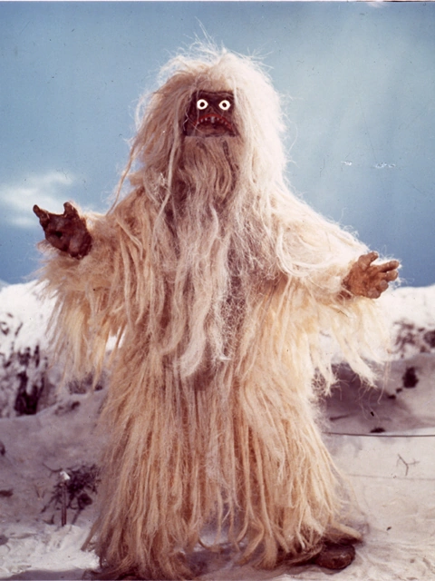 Pyroraptor🦖 tweet media