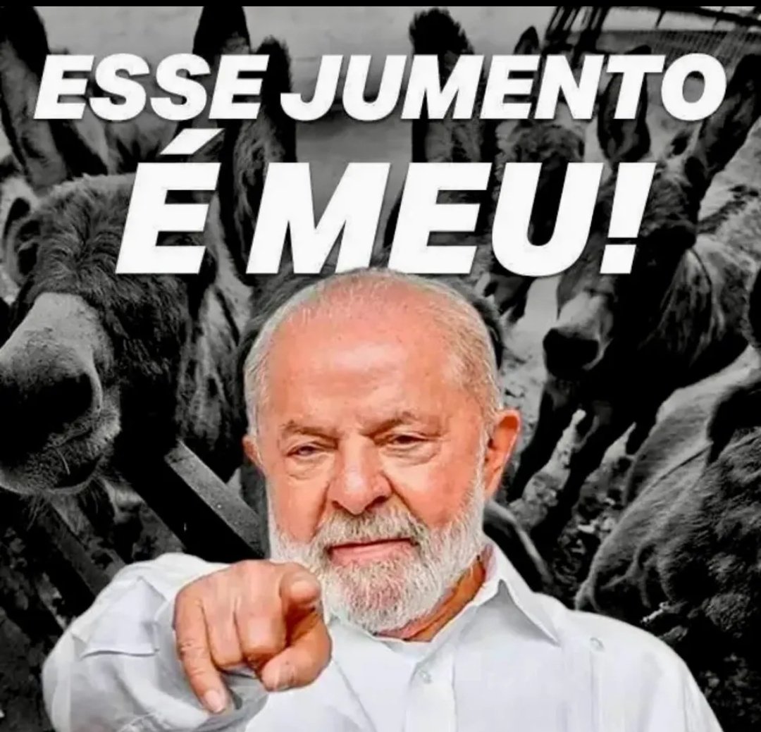 Finalizada tweet media