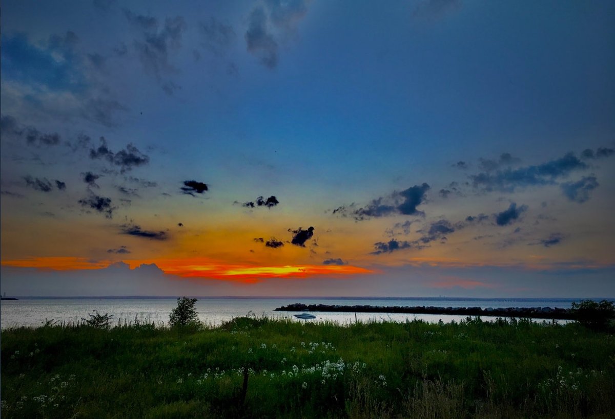 Katalin Pota ☮️☮️☮️ tweet media