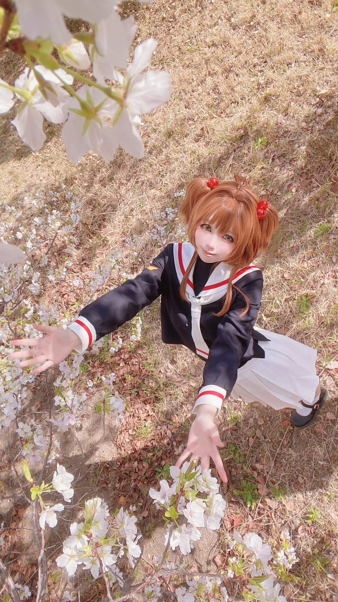 はるかす❀ tweet media