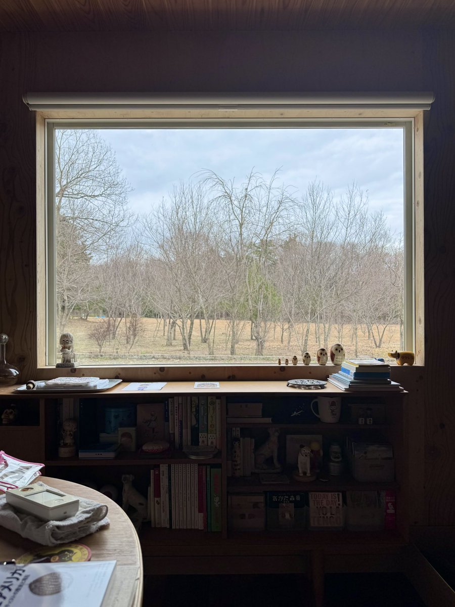 yoshitomo nara / 奈良美智 tweet media