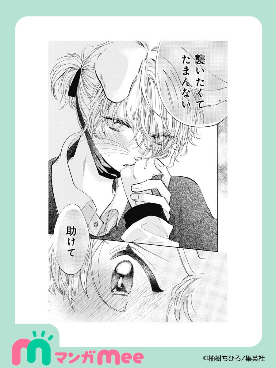 キミと越えて恋になる｜キミ越え【公式】 (@kimikoe_news) / Posts / X