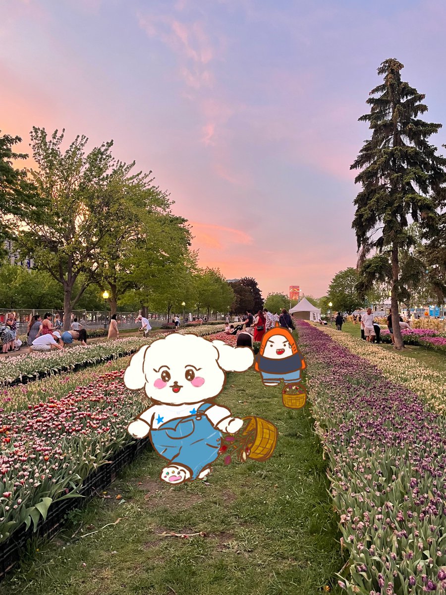 fili 🌻 tweet media