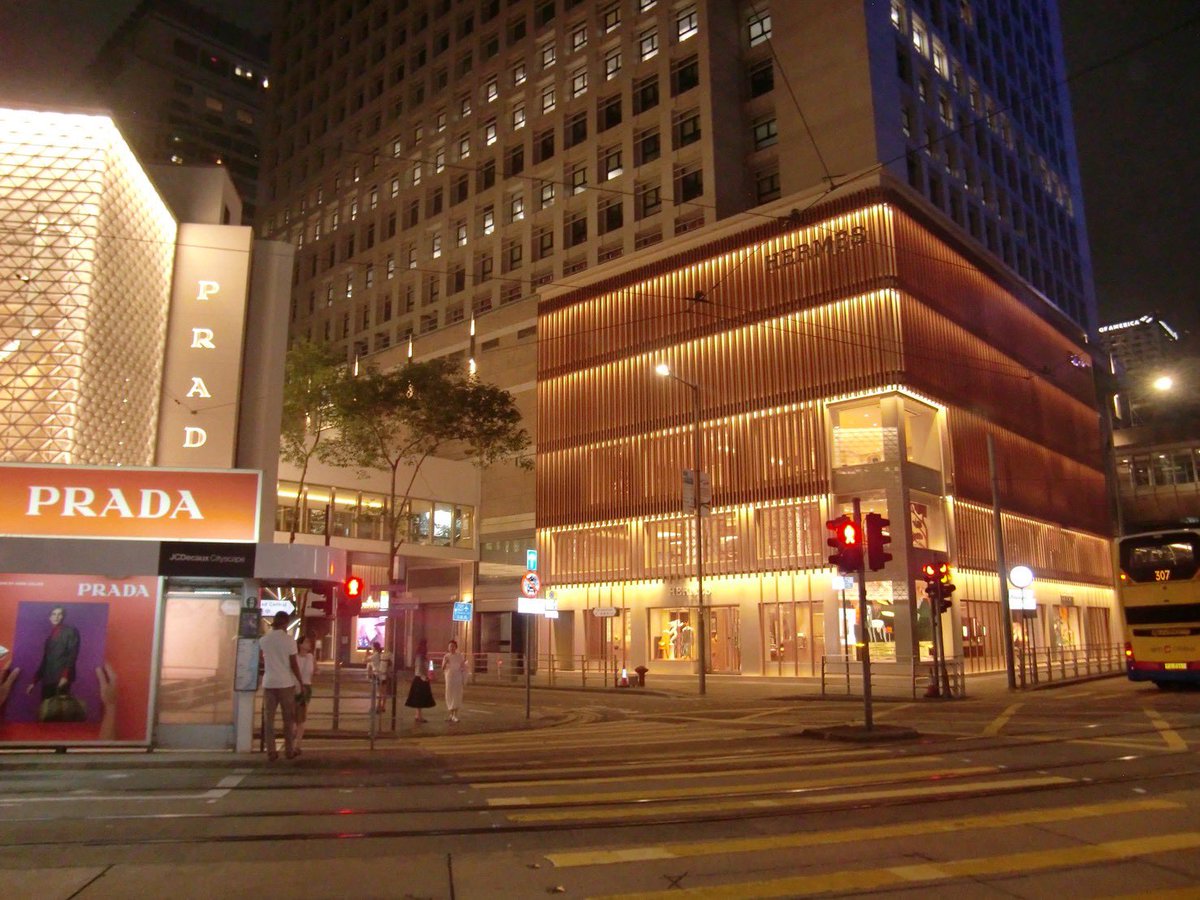 𝑁🪽 tweet media