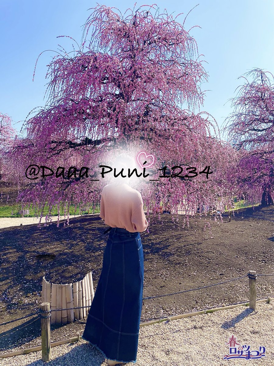 だぁ🚹 & ぷに🍑_主に野外活動 tweet media