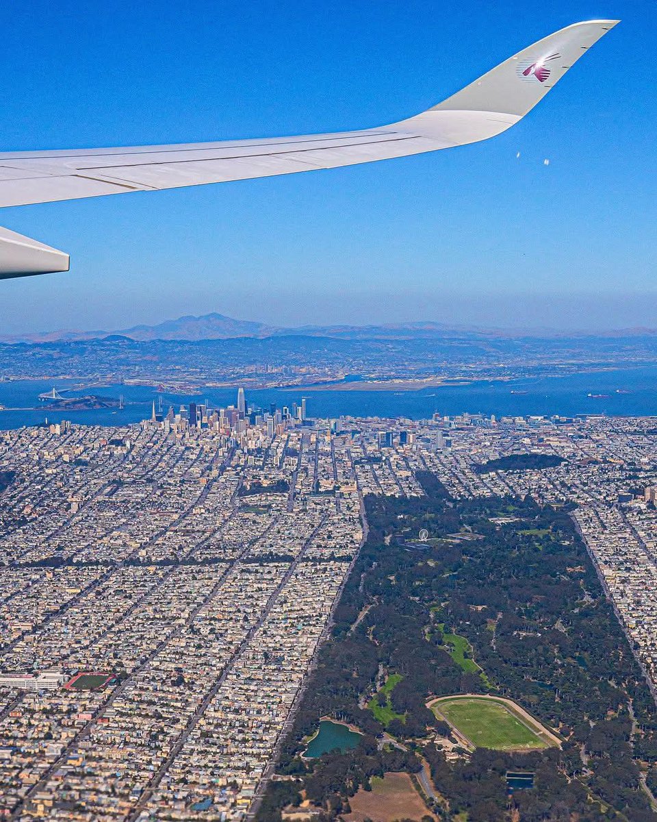 Wildscape Wonders tweet media