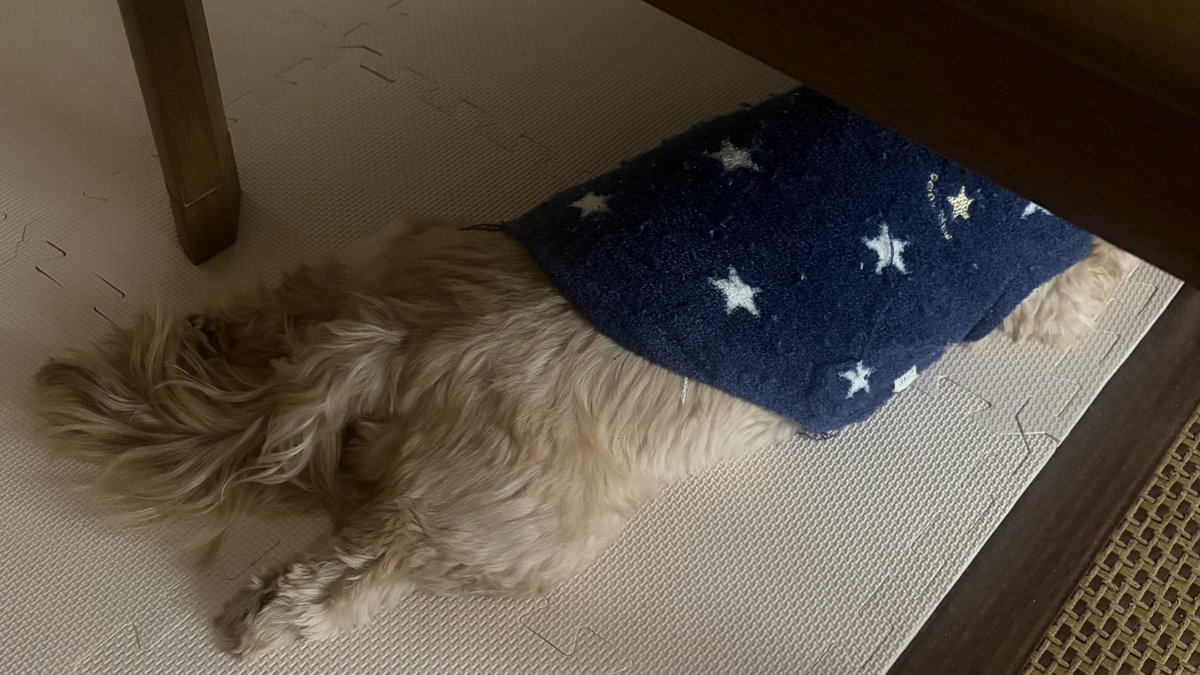 mackey🇫🇷⚓️ tweet media